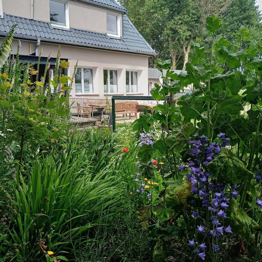 Ferienwohnung Deich Karolinenkoog Exterior foto